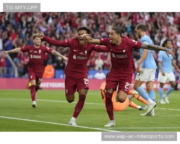 拜仁夏窗重磅引援:具备即战力的边锋,以锐意进取再夺巅峰 拜仁夏窗重磅引援:具备即战力的边锋,以锐意进取再夺巅峰